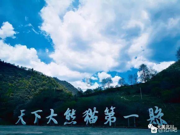 皇牌空战7