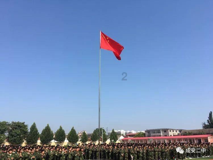 绿色叶子中间是白色叶子是什么品种的多肉游戏画面
