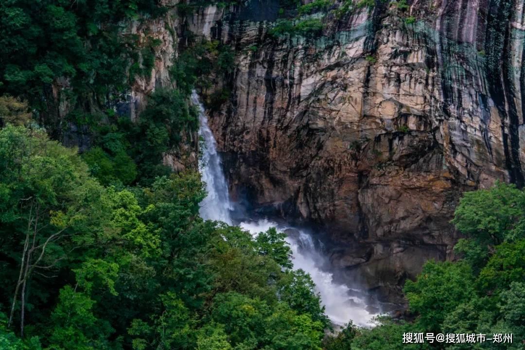 疯狂的小偷